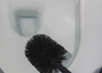 WC mit einer WC-Bürste