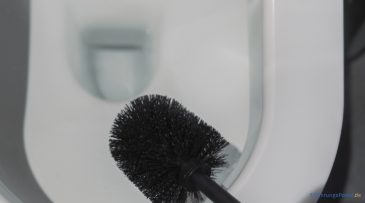WC mit einer WC-Bürste