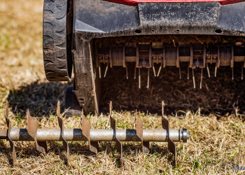 Klingen eines Vertikutierers