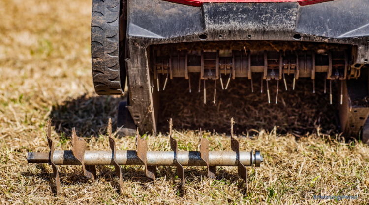 Klingen eines Vertikutierers