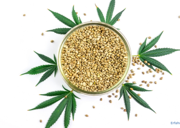 Feminisierte Cannabissamen