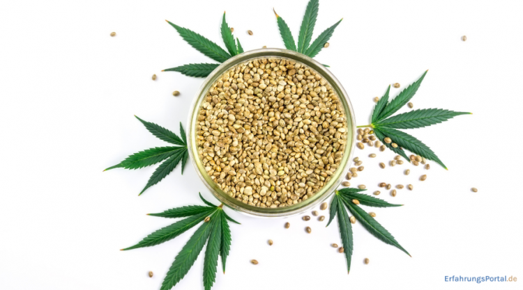 Feminisierte Cannabissamen