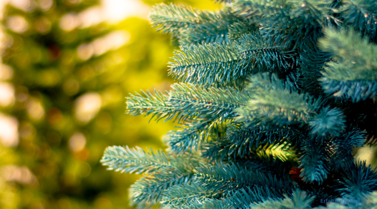 künstlicher Weihnachtsbaum
