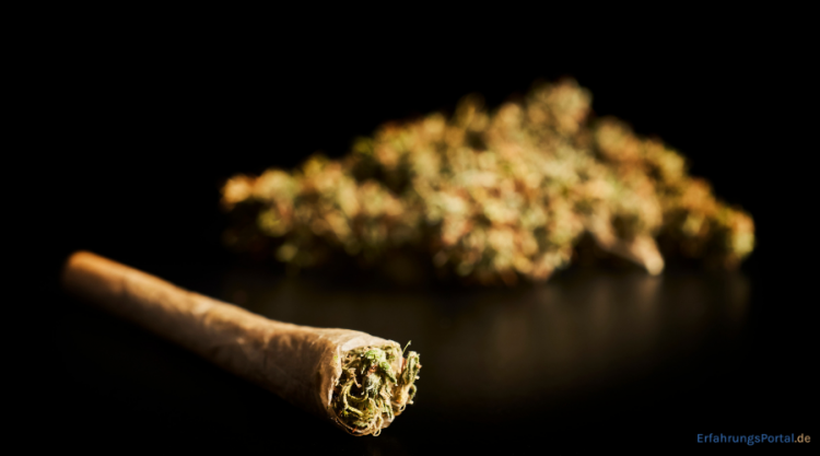 Joint und Cannabis