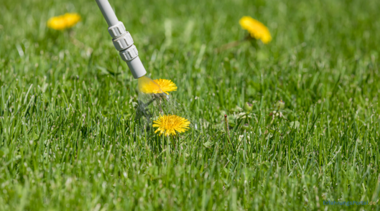 Rasenunkrautvernichter