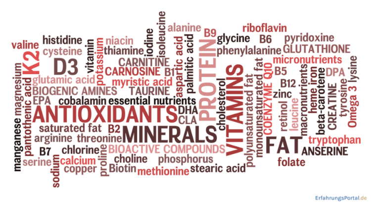 Mikronährstoffe