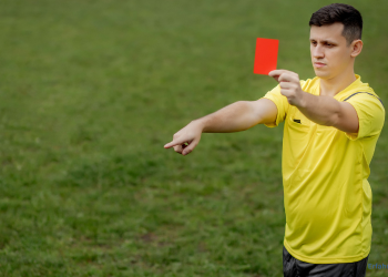 Schiedsrichter Bundesliga