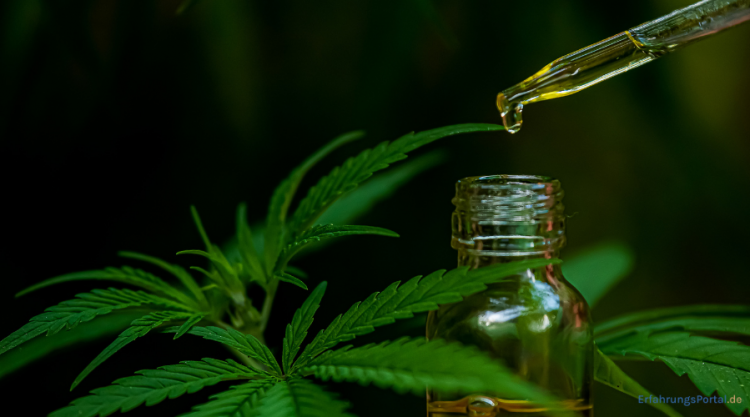 CBD Öl bei Angst