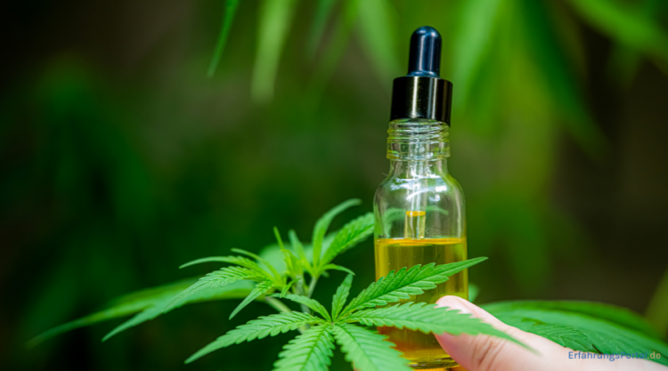 CBD Öl