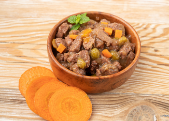 Nassfutter für Hunde