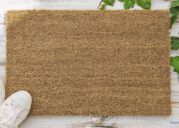 Schmutzfangmatte, Fußabtreter