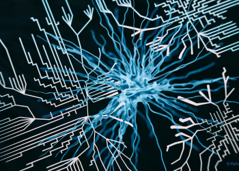 Software für den PC