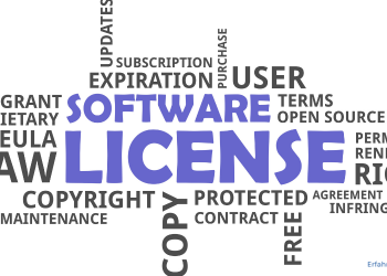 Software License