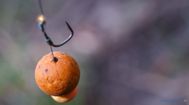 Boilies zum Angeln