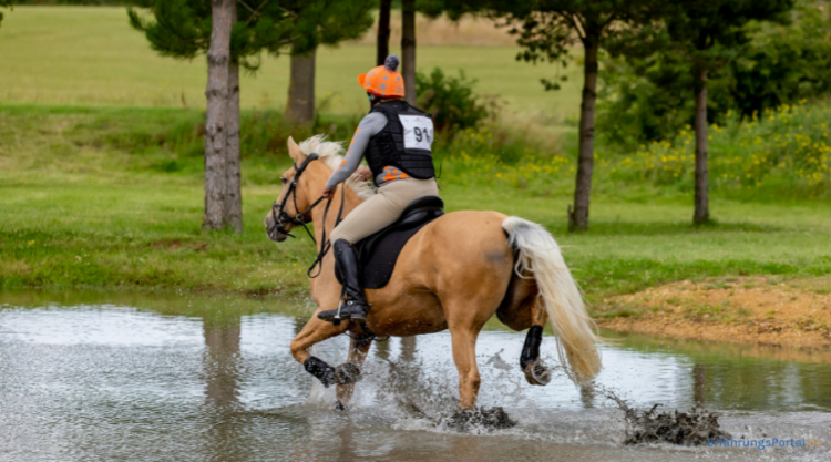 Airbagweste Reiten