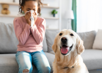 Tierhaarallergie Kinder