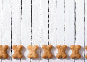 Hundekekse gegen Zecken