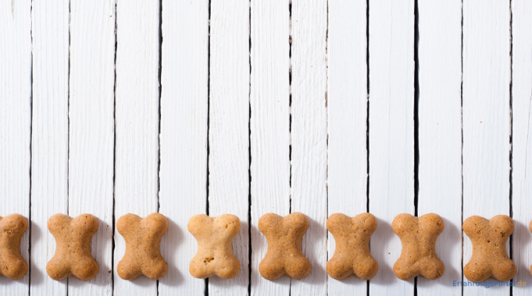 Hundekekse gegen Zecken