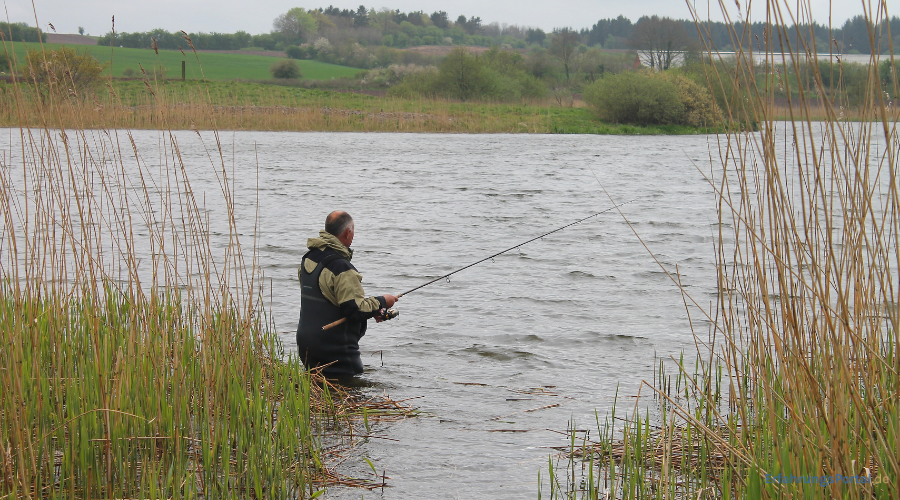 Angeln mit Futterboot