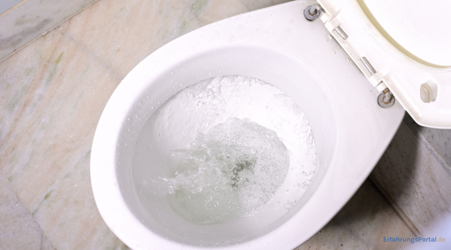 Toilette Geruch neutralisieren