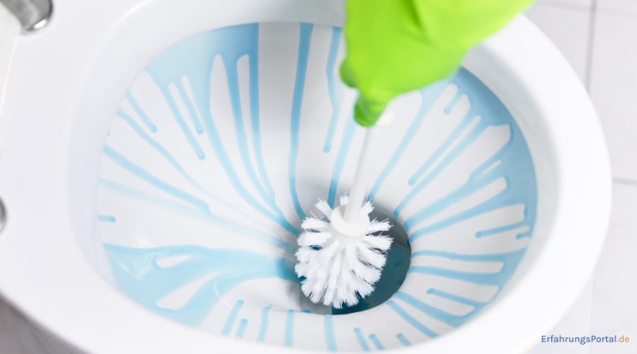 Toilette putzen