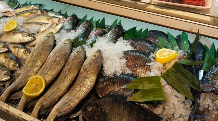frischer Fisch