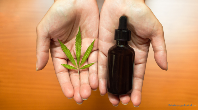 CBD Öl