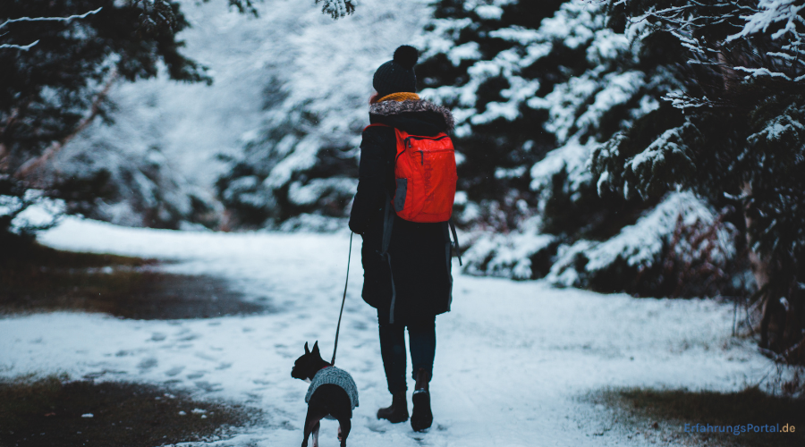 Frau geht im Winter mit Hund gassi