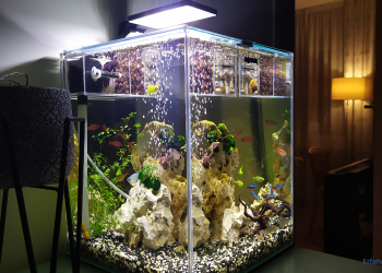 Aquarium Beleuchtung