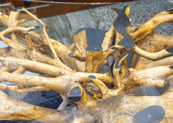 Holzwurzelmöbel