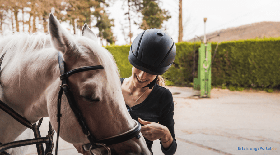 Pferd mit Reiterin