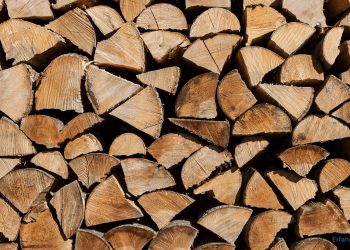 Kaminholz
