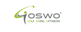 Logo GOSWO
