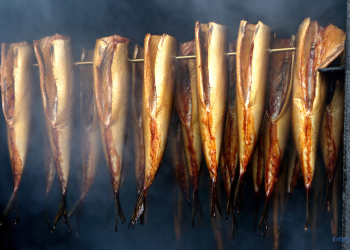 Fisch räuchern