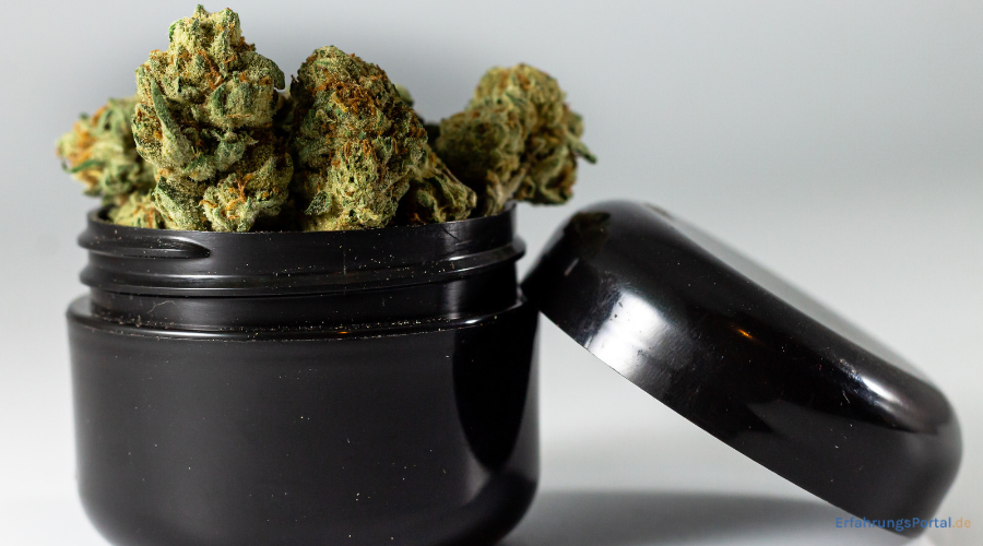 Cannabis auf Rezept