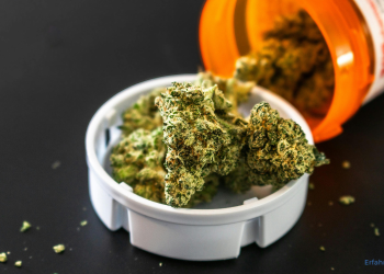 medizinisches Cannabis