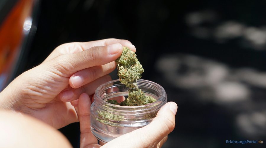 Cannabis auf Rezept