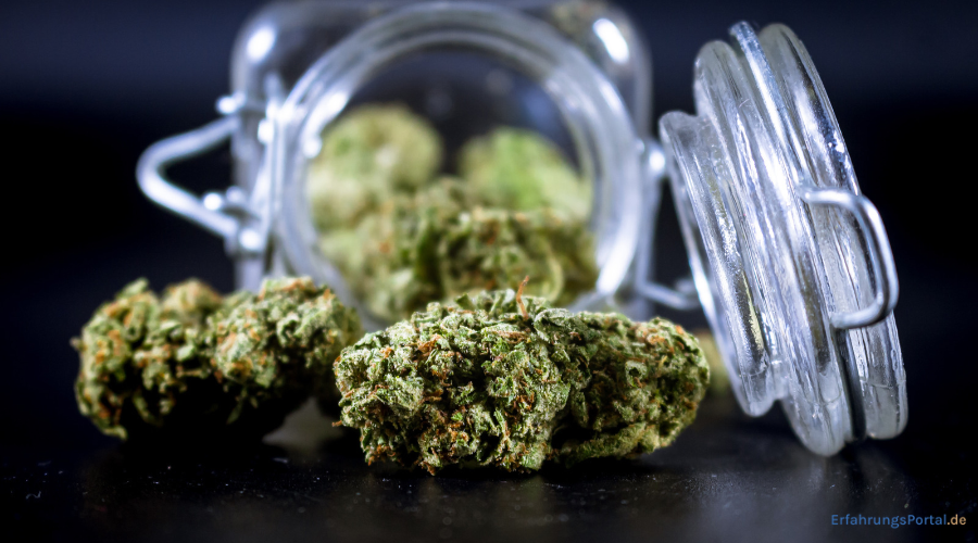 Cannabisblüten